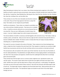 Article - Write Score