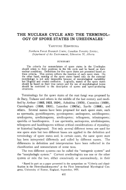 The Nuclear Cycle and the Terminology of Spore States in