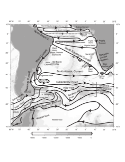 North Brazil C. South Equatorial Current South Atlantic Current EUC