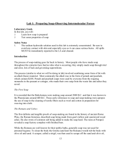 Lab 1: Preparing Soap-Observing Intermolecular Forces