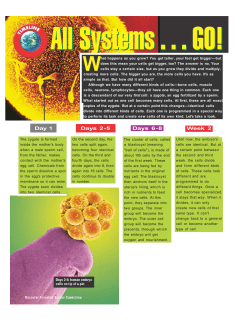 Day 1 Days 2-5 Days 6