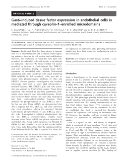 Gas6induced tissue factor expression in endothelial cells is