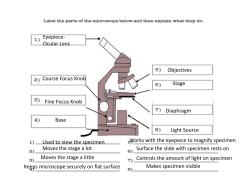 Eyepiece- Ocular Lens Course Focus Knob Fine Focus Knob Base