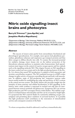 Nitric oxide signalling: insect brains and photocytes