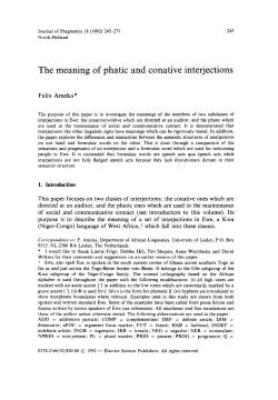 The meaning of phatic and conative interjections