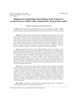 Epiphyte host relationship of macrolichens in the tropical wet
