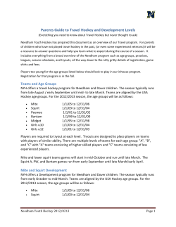 Parents Guide to Travel Hockey and Development Levels