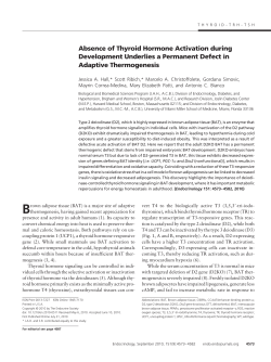 Absence of Thyroid Hormone Activation during Development