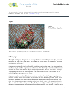 Algae Topics in Biodiversity