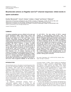 initial events in sperm activation - Development