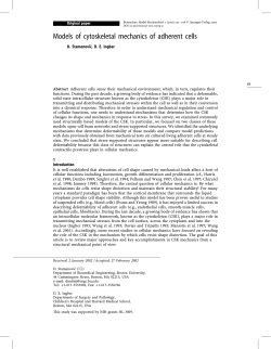 Models of cytoskeletal mechanics of adherent cells
