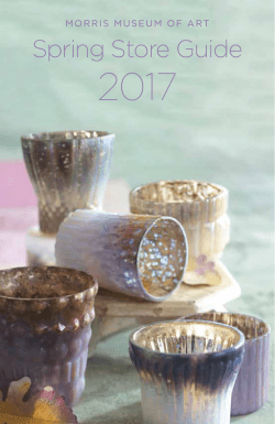 Spring Store Guide - Morris Museum of Art