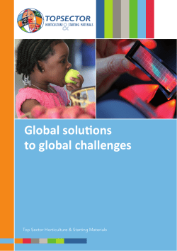 Global solutions to global challenges