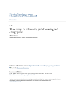 Three essays on oil scarcity, global warming and energy prices