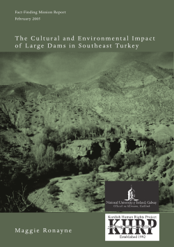 The Cultural and Environmental Impact of Large Dams in