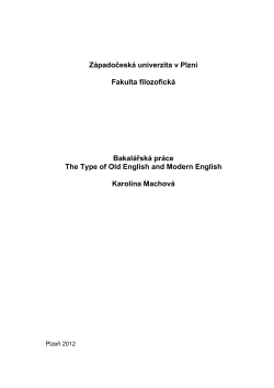 Západočeská univerzita v Plzni Fakulta filozofická Bakalářská práce