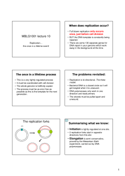 MBLG1001 lecture 10 The problems revisited: The replication forks