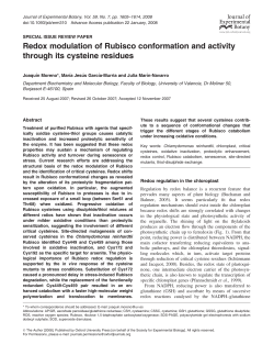 Redox modulation of Rubisco conformation and activity through its