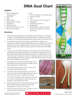 DNA Goal Chart