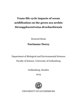 Trans-life cycle impacts of ocean acidification on the green
