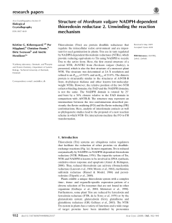Structure of Hordeum vulgare NADPH