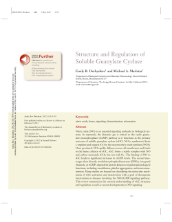 Structure and Regulation of Soluble Guanylate Cyclase