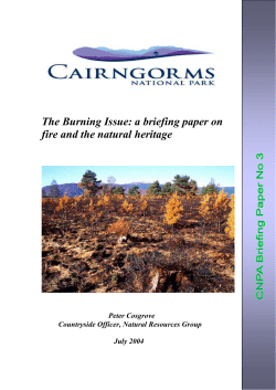 The Burning Issue: a briefing paper on fire and the natural heritage