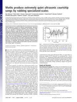Moths produce extremely quiet ultrasonic courtship songs by