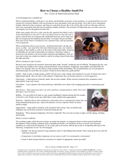 How to Choose a Healthy Small Pet