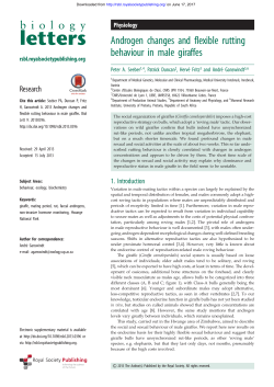 Androgen changes and flexible rutting behaviour in male giraffes