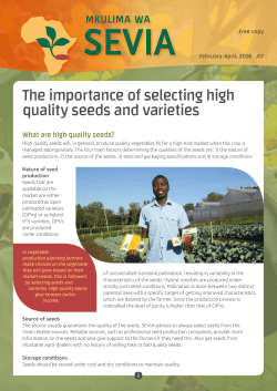 The importance of selecting high quality seeds and varieties