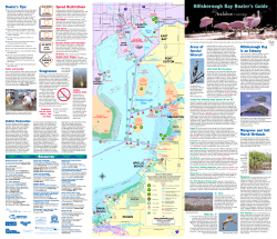 Boater`s Tips: Speed Restrictions Seagrasses Areas of Special
