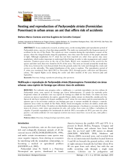 Nesting and reproduction of Pachycondyla striata
