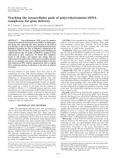 Tracking the intracellular path of poly(ethylenimine)/DNA complexes