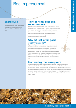 Bee Improvement