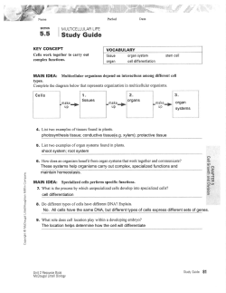 5.5 Study Guide KEY