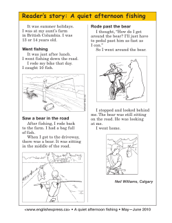 Reader`s story: A quiet afternoon fishing