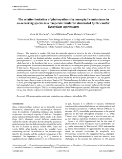 The relative limitation of photosynthesis by