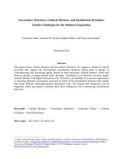 Governance Structures, Cultural Distance, and Socialization