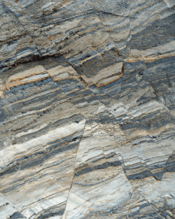 Untitled - Cambridge University Press