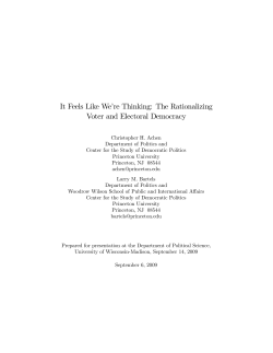 It Feels Like We`re Thinking: The Rationalizing Voter and Electoral