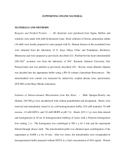 SUPPORTING ONLINE MATERIAL MATERIALS AND