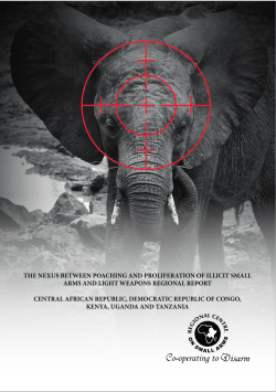 the nexus between poaching and proliferation of illicit small arms
