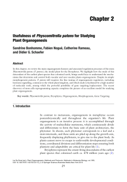 Sample pages 1 PDF