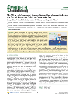 The Efficacy of Constructed Stream&minus;Wetland Complexes at