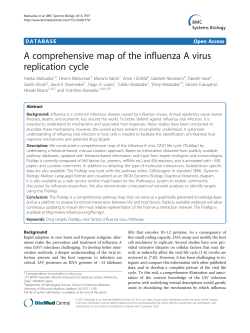 A comprehensive map of the influenza A virus replication cycle