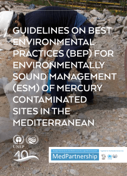 of mercury contaminated sites in the