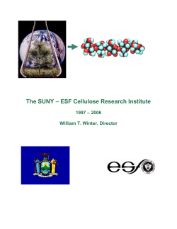 The SUNY œ ESF Cellulose Research Institute