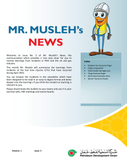 Mr. Musleh News - Issue No. 3