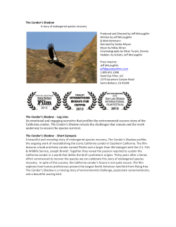 Press Kit  - The Condor`s Shadow